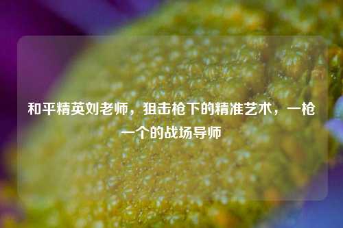 和平精英刘老师,狙击枪下的精准艺术,一枪一个的战场导师