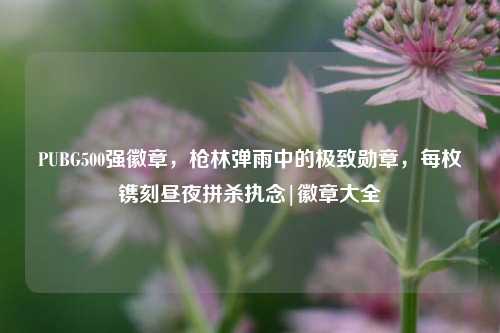 PUBG500强徽章,枪林弹雨中的极致勋章,每枚镌刻昼夜拼杀执念|徽章大全