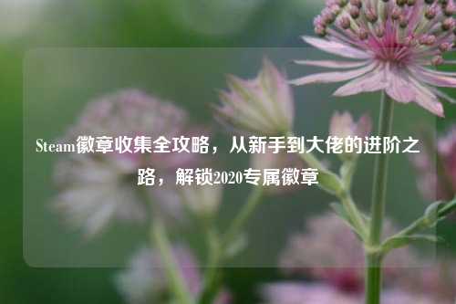 Steam徽章收集全攻略,从新手到大佬的进阶之路,解锁2020专属徽章
