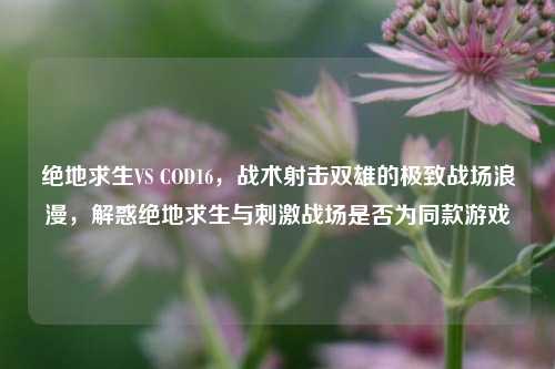 绝地求生VS COD16,战术射击双雄的极致战场浪漫,解惑绝地求生与 战场是否为同款游戏