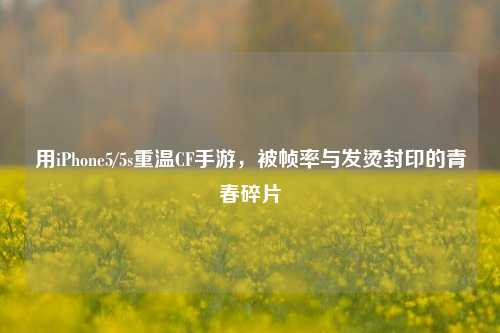 用iPhone5/5s重温CF手游,被帧率与发烫封印的青春碎片