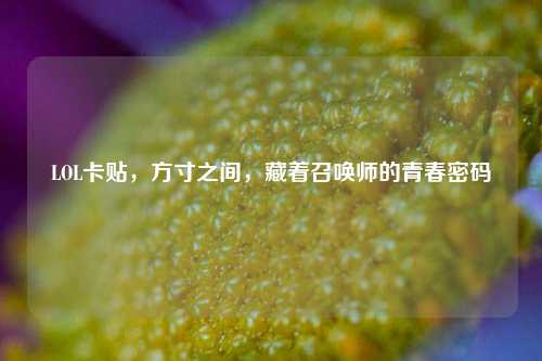 LOL卡贴,方寸之间,藏着召唤师的青春密码