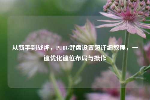 从新手到战神，PUBG键盘设置超详细教程，一键优化键位布局与操作
