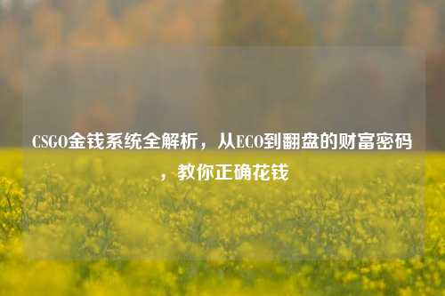 CSGO金钱系统全解析,从ECO到翻盘的财富密码,教你正确花钱