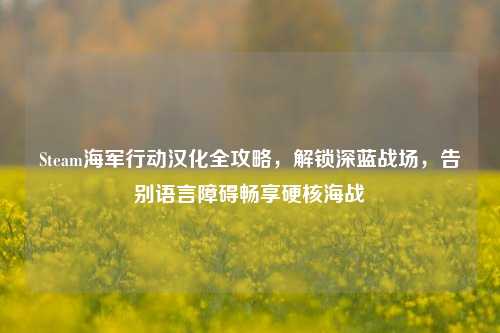 Steam海军行动汉化全攻略,解锁深蓝战场,告别语言障碍畅享硬核海战