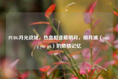 PUBG月光战域,热血相逢藏明月,明月浦(míng yuè pǔ)的燃情记忆