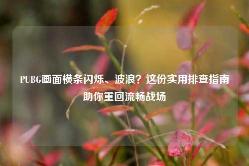 PUBG画面横条闪烁、波浪?这份实用排查指南助你重回流畅战场