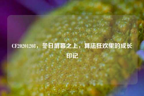 CF20201208,冬日屏幕之上,算法狂欢里的成长印记