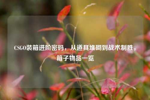 CSGO装箱进阶密码,从道具堆砌到战术制胜,箱子物品一览