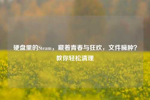 硬盘里的Steam,藏着青春与狂欢,文件臃肿?教你轻松清理
