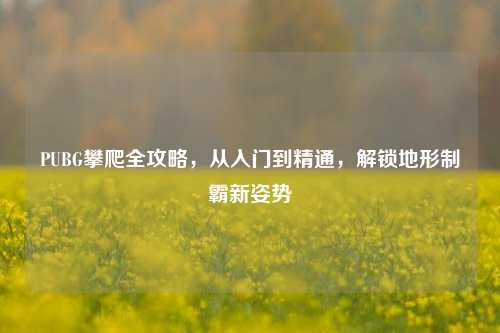 PUBG攀爬全攻略,从入门到精通,解锁地形制霸新姿势