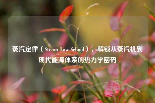 蒸汽定律(Steam Law School),解锁从蒸汽机到现代能源体系的热力学密码