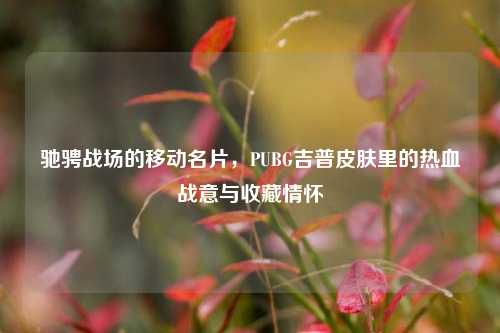 驰骋战场的移动名片,PUBG吉普皮肤里的热血战意与收藏情怀