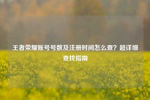 王者荣耀账号号数及注册时间怎么查？超详细查找指南