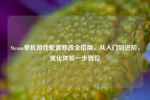 Steam单机游戏配置修改全指南,从入门到进阶,优化体验一步到位