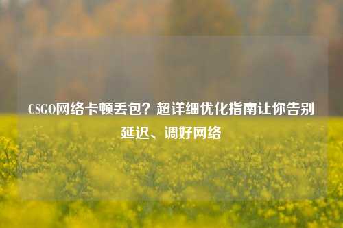 CSGO 卡顿丢包?超详细优化指南让你告别延迟、调好