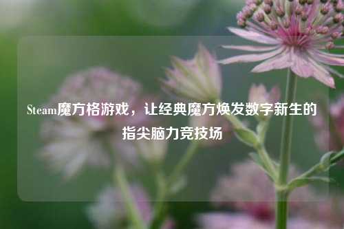 Steam魔方格游戏,让经典魔方焕发数字新生的指尖脑力竞技场