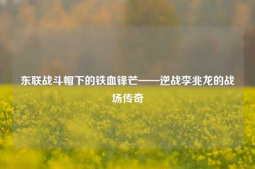 东联战斗帽下的铁血锋芒——逆战李兆龙的战场传奇