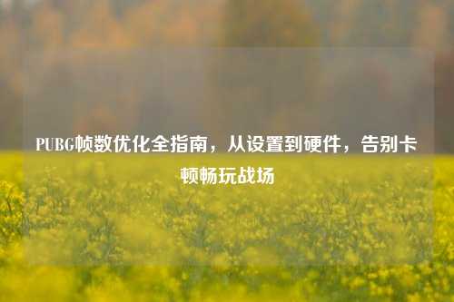 PUBG帧数优化全指南，从设置到硬件，告别卡顿畅玩战场