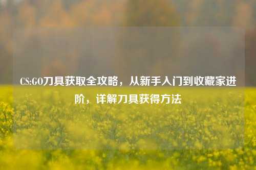 CS:GO刀具获取全攻略，从新手入门到收藏家进阶，详解刀具获得     