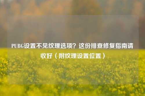PUBG设置不见纹理选项?这份排查修复指南请收好(附纹理设置位置)