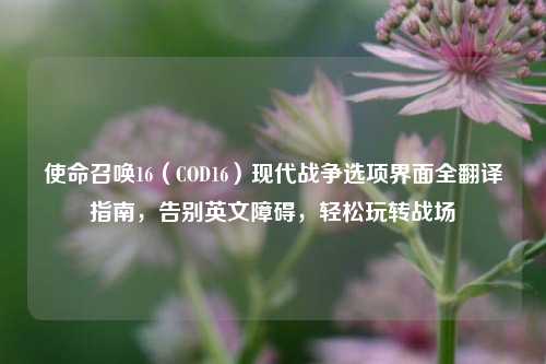 使命召唤16(COD16)现代战争选项界面全翻译指南,告别英文障碍,轻松玩转战场