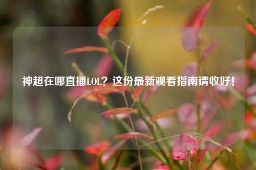 神超在哪直播LOL?这份最新观看指南请收好!