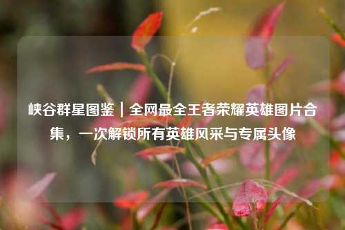 峡谷群星图鉴|全网最全王者荣耀英雄图片合集,一次解锁所有英雄风采与专属头像