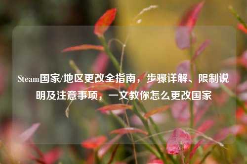 Steam国家/地区更改全指南,步骤详解、限制说明及注意事项,一文教你怎么更改国家