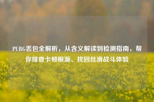 PUBG丢包全解析,从含义解读到检测指南,帮你排查卡顿根源、找回丝滑战斗体验