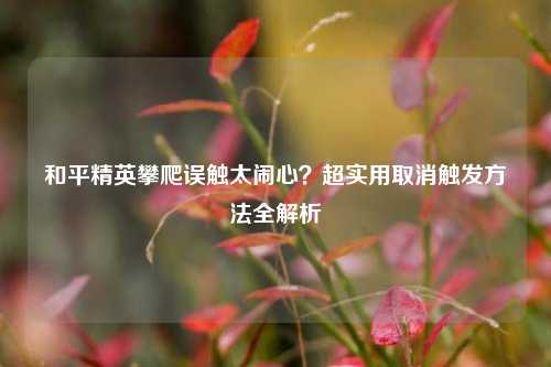 和平精英攀爬误触太闹心?超实用取消触发 全解析