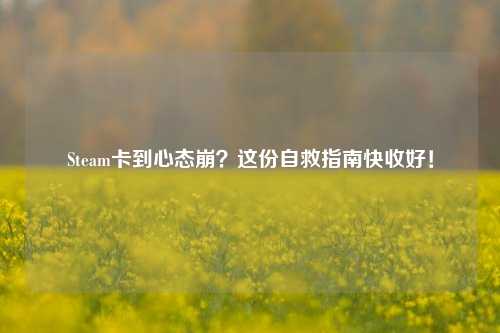 Steam卡到心态崩?这份自救指南快收好!