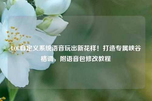 LOL自定义系统语音玩出新花样!打造专属峡谷格调,附语音包修改教程