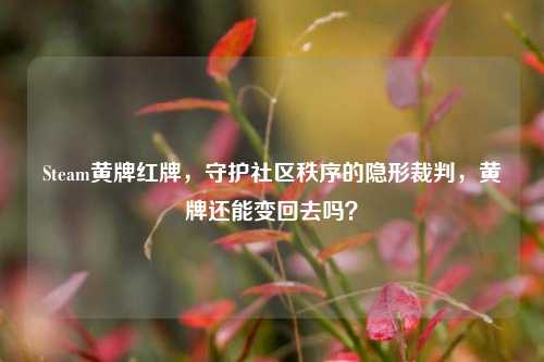 Steam黄牌红牌,守护社区秩序的隐形裁判,黄牌还能变回去吗?