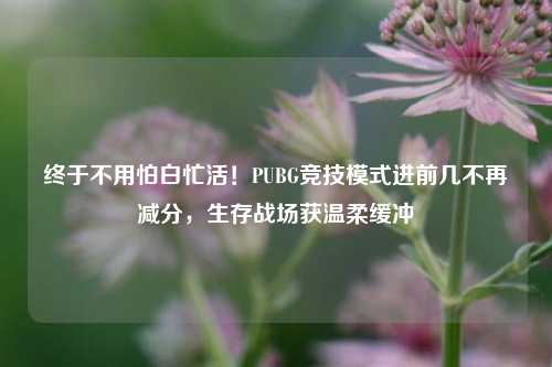 终于不用怕白忙活!PUBG竞技模式进前几不再减分,生存战场获温柔缓冲