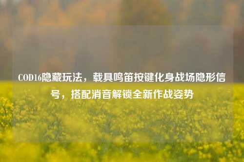 COD16隐藏玩法,载具鸣笛按键化身战场隐形信号,搭配消音解锁全新作战姿势