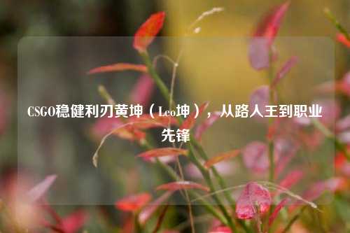CSGO稳健利刃黄坤(Leo坤),从路人王到职业先锋