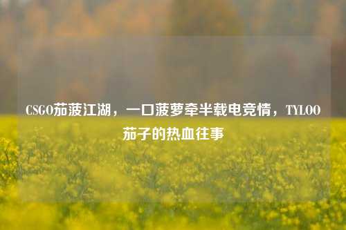 CSGO茄菠江湖,一口菠萝牵半载电竞情,TYLOO茄子的热血往事