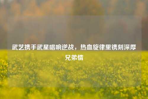 武艺携手武星唱响逆战，热血旋律里镌刻深厚兄弟情