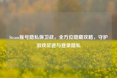 Steam账号隐私保卫战，全方位隐藏攻略，守护游戏足迹与登录隐私