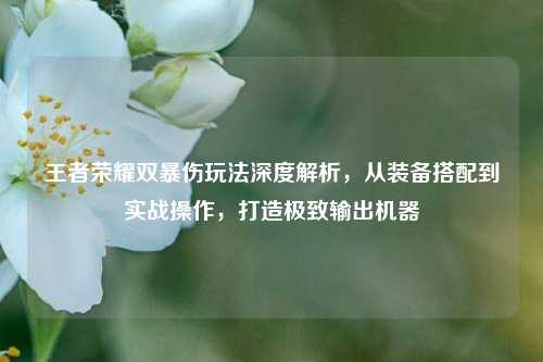 王者荣耀双暴伤玩法深度解析,从装备搭配到实战操作,打造极致输出机器