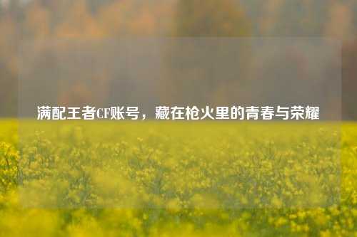 满配王者CF账号,藏在枪火里的青春与荣耀