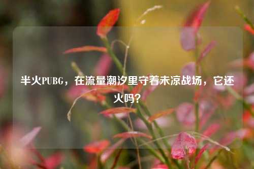 半火PUBG,在流量潮汐里守着未凉战场,它还火吗?