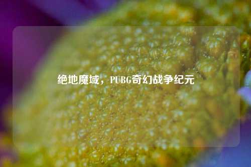 绝地魔域,PUBG奇幻战争纪元