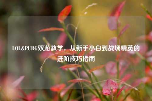 LOL&PUBG双游教学，从新手小白到战场精英的进阶技巧指南