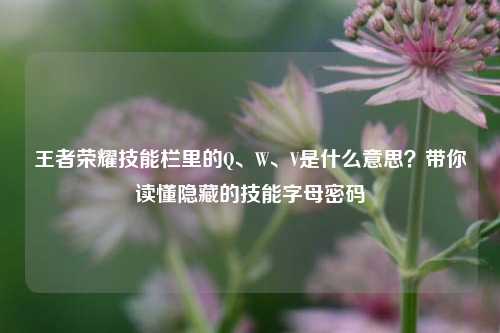 王者荣耀技能栏里的Q、W、V是什么意思?带你读懂隐藏的技能字母密码