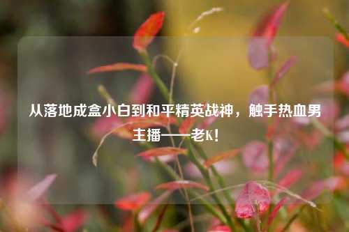 从落地成盒小白到和平精英战神，触手热血男主播——老K！