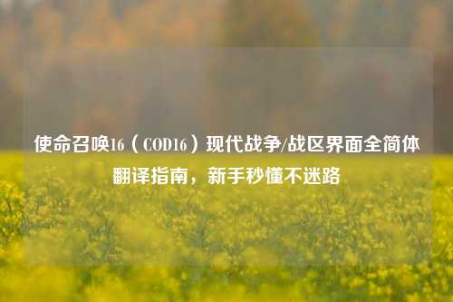 使命召唤16(COD16)现代战争/战区界面全简体翻译指南,新手秒懂不迷路