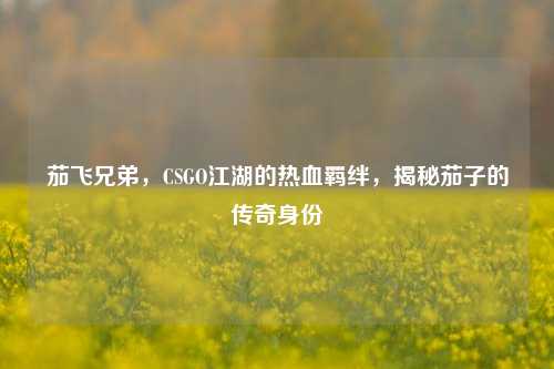 茄飞兄弟,CSGO江湖的热血羁绊,揭秘茄子的传奇身份