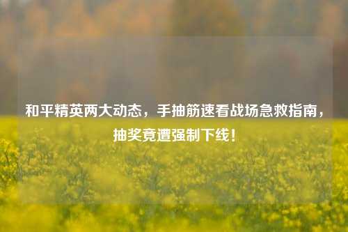 和平精英两大动态,手抽筋速看战场急救指南,抽奖竟遭强制下线!